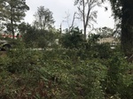2018-11-09_10-47-26_035943BA-48EE-46C8-BCF4-FBEA83EC0007.jpg