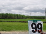 6433099c-irrigated-supplemental-major-tank-rice-doublecrop-sugarcane.jpg
