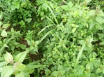18189P1000024.JPG
