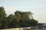 2022-06-12_15-25-17_A9515BEE-4C7A-4D0C-8175-8D23C1BD08FC.jpeg