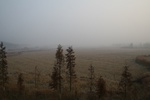 4097IMG_8732.JPG