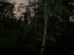 17370100_2056.JPG