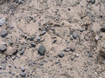 8147vp-029-Waste land, short grasses and open lands-a.jpg
