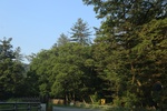 2016-08-29_18-58-37_2016-06-02 16.05.00.jpg