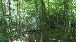 2016-07-25_03-26-57_DSCF1648.JPG