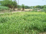 512122042008(61).JPG