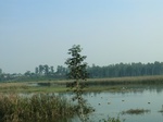 41611CIMG8720.JPG