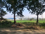 41605CIMG8711.JPG