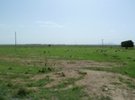 19245P1010091.JPG