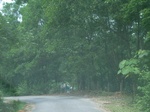 2012-09-08_20-00-41_RIMG0091.JPG