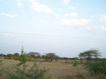 480802052008(107).JPG