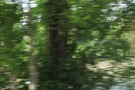 2022-06-11_16-04-23_78C3B691-7D7C-4B2D-AD1D-F05B76402DF6.jpeg