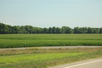 2022-05-26_14-43-12_339BD194-5C41-4BEE-8D05-26CED3905505.jpeg