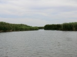 38553CIMG0081.JPG