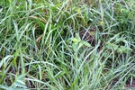 2012-09-21_22-05-17_IN-DB-4-2.jpeg