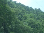 2012-09-08_20-00-55_RIMG0099.JPG