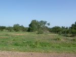 19340P1010186.JPG