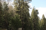 2018-05-31_18-12-56_2018-03-25 14.39.29.jpg