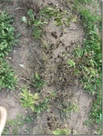 2012-09-12_09-02-01_IA-DL-14-1.jpg