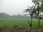 41898CIMG9102.JPG
