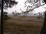 3074 007.jpg
