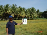 6245041b-irrigated-supplemental-groundwater-rice-sugarcane-plantation-doublecrop-coconut(plantation).jpg