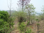 1729220042008(74).JPG