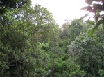 16250IMG_5023.JPG