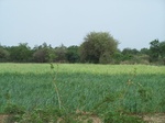 489602052008(89).JPG