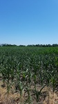 2017-07-06_08-10-34_IMG_20170705_152429.jpg