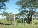 5741100_1326.JPG