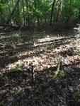 2012-09-24_10-40-20_DSC03125.JPG