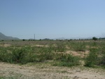 19215P1010061.JPG