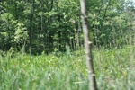 2022-06-12_16-02-13_0F3EE95E-071C-4F22-AEB6-2749A22B9DDD.jpeg