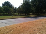 58635drought NWC.JPG