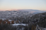 2022-01-19_13-38-47_4E8A1380.JPG