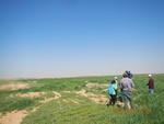 2017-02-02_10-25-22_DSCN0326.JPG