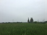 2017-09-11_22-24-45_3BB76824-D880-4208-9910-730153334B1B.jpg