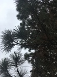 2020-11-30_09-02-33_23F14305-58DC-4EE1-A949-265E1FEF60E8.jpg
