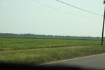 2022-05-26_14-42-56_DC216E62-C7F5-407B-95EC-2E012C16D527.jpeg