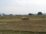 481702052008(15).JPG