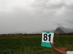 6375081b-irrigated-supplemental-tubewell-banana-rice-groundnut-castrol.jpg