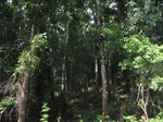 14191IMG_4530.JPG