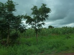 20962P1020829.JPG