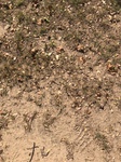 2020-10-05_15-49-38_2020-10-5-15-47-6.jpg