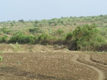 480102052008(100).JPG