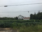 2017-09-10_20-45-59_EC90A285-4B2F-44B6-B623-0049CDD7DC9F.jpg