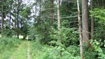 2016-07-27_09-26-04_DSCF1876.JPG