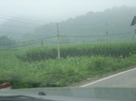 2012-09-08_20-00-54_RIMG0015.JPG