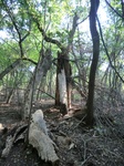 2012-09-21_16-12-28_CIMG2981.JPG